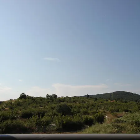 Menada Butterfly Sveti Vlas