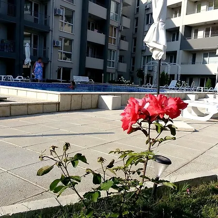 Apartment Menada Butterfly